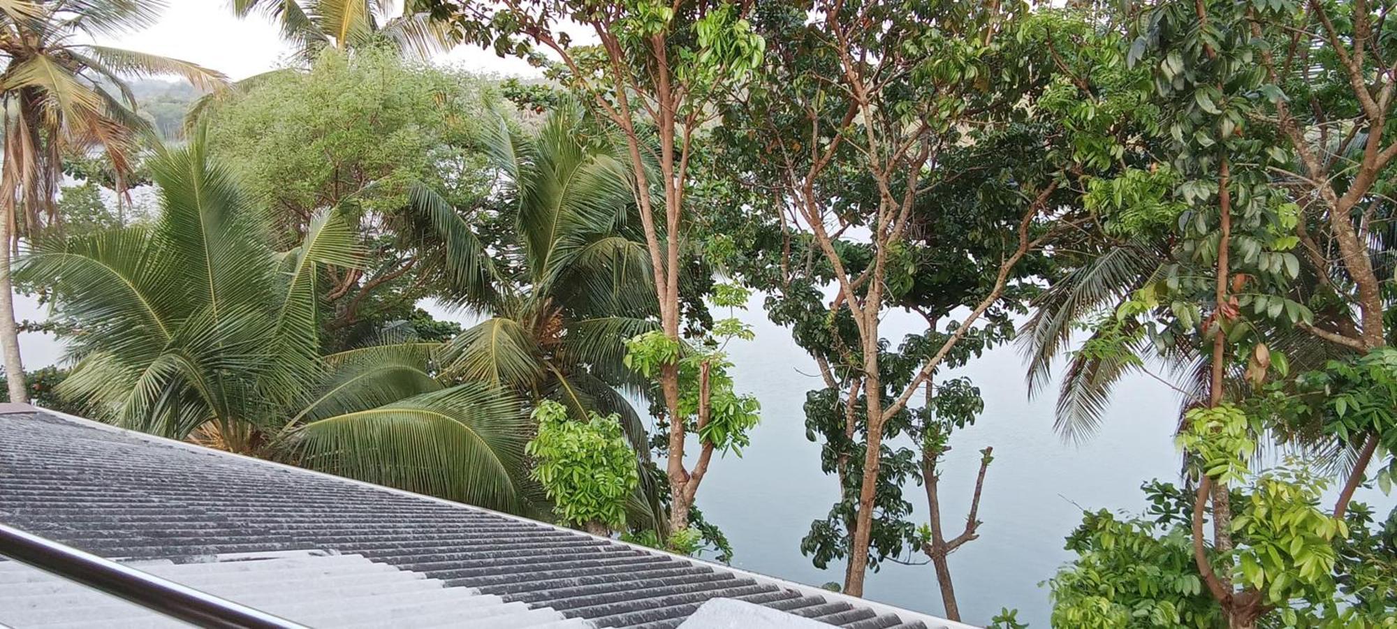 The Green Lagoon Villa هيكادوفا المظهر الخارجي الصورة